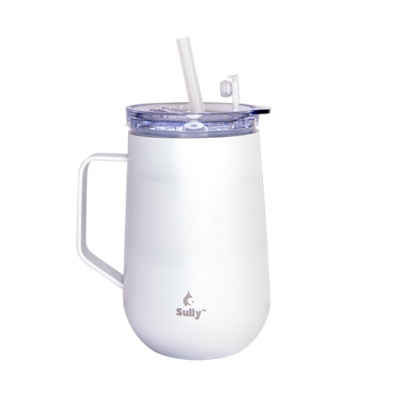 sii-hlhss-6213b_wht_01